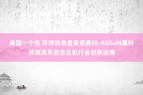 美国一个色 环球独角兽英诺赛科:AllGaN黑科技赋高东说念主机行业创新运用