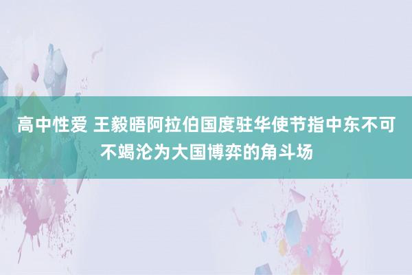 高中性爱 王毅晤阿拉伯国度驻华使节　指中东不可不竭沦为大国博弈的角斗场