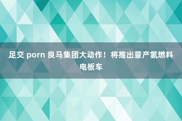 足交 porn 良马集团大动作！将推出量产氢燃料电板车