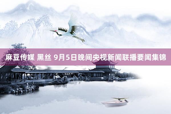 麻豆传媒 黑丝 9月5日晚间央视新闻联播要闻集锦