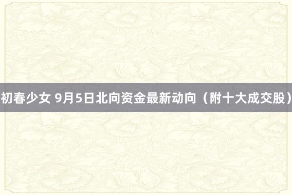 初春少女 9月5日北向资金最新动向（附十大成交股）