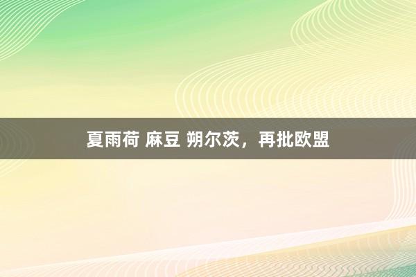 夏雨荷 麻豆 朔尔茨，再批欧盟