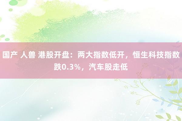 国产 人兽 港股开盘：两大指数低开，恒生科技指数跌0.3%，汽车股走低