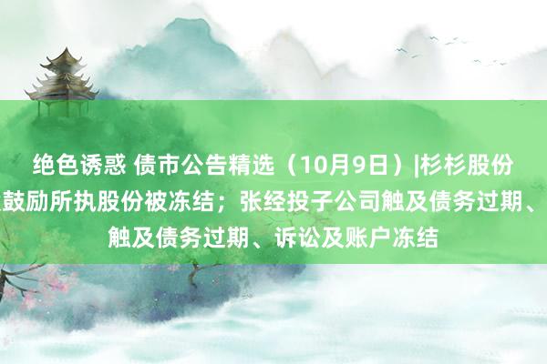绝色诱惑 债市公告精选（10月9日）|杉杉股份、永杉锂业控股鼓励所执股份被冻结；张经投子公司触及债务过期、诉讼及账户冻结