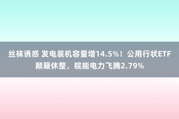 丝袜诱惑 发电装机容量增14.5%！公用行状ETF颠簸休整，皖能电力飞腾2.79%