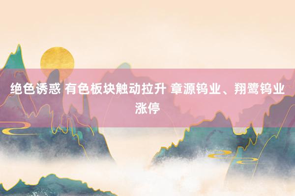 绝色诱惑 有色板块触动拉升 章源钨业、翔鹭钨业涨停