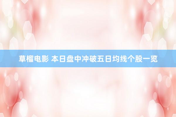 草榴电影 本日盘中冲破五日均线个股一览