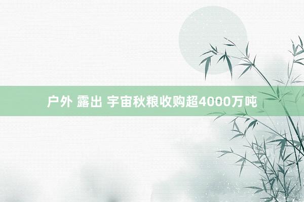 户外 露出 宇宙秋粮收购超4000万吨