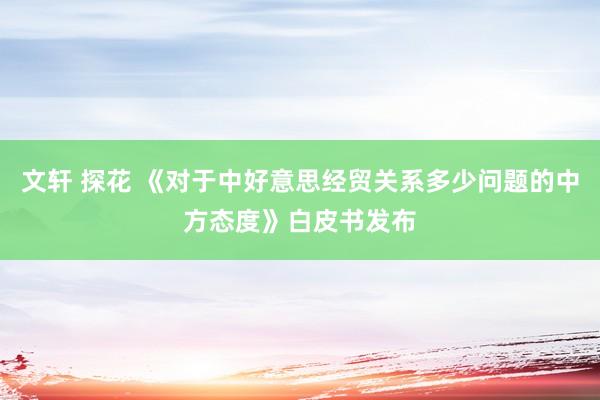 文轩 探花 《对于中好意思经贸关系多少问题的中方态度》白皮书发布